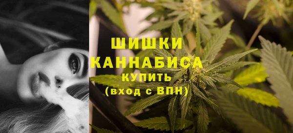 мяу мяу мука Елабуга
