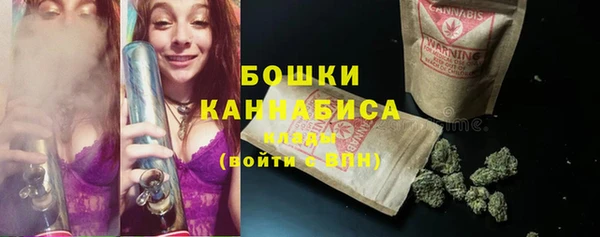 трава Ельня