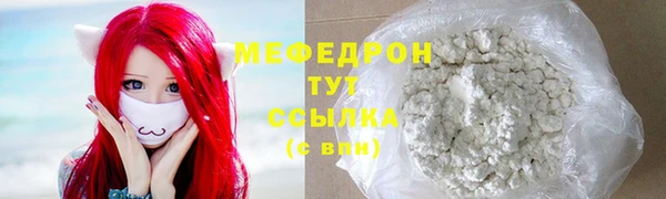 трава Ельня