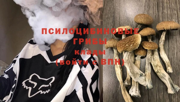 мяу мяу мука Елабуга