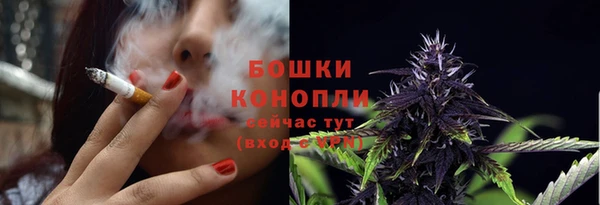 мяу мяу мука Елабуга