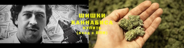 мяу мяу мука Елабуга