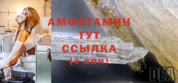 трава Ельня