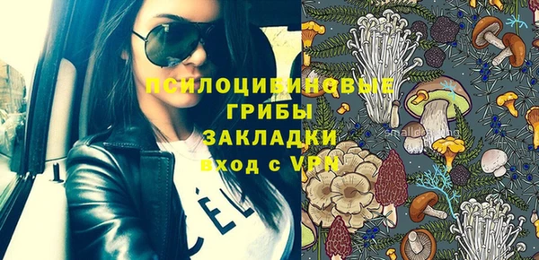 мяу мяу мука Елабуга
