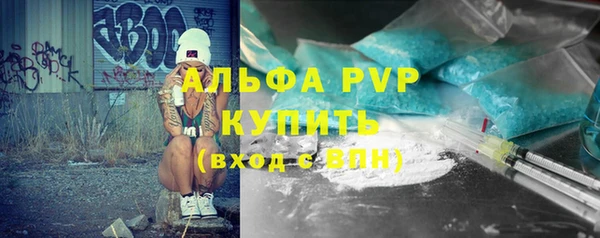 трава Ельня