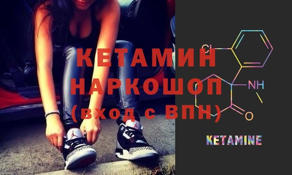 трава Ельня