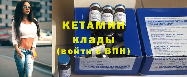 трава Ельня