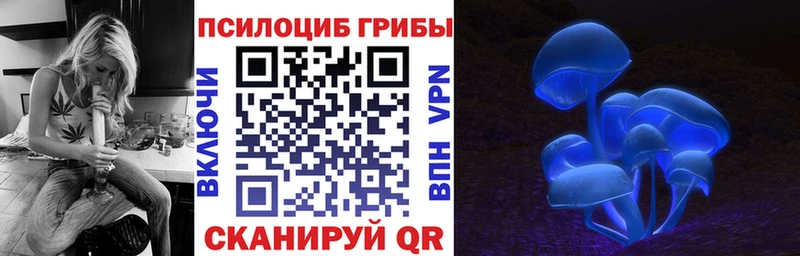 Псилоцибиновые грибы Cubensis  Купить где  Волоколамск 